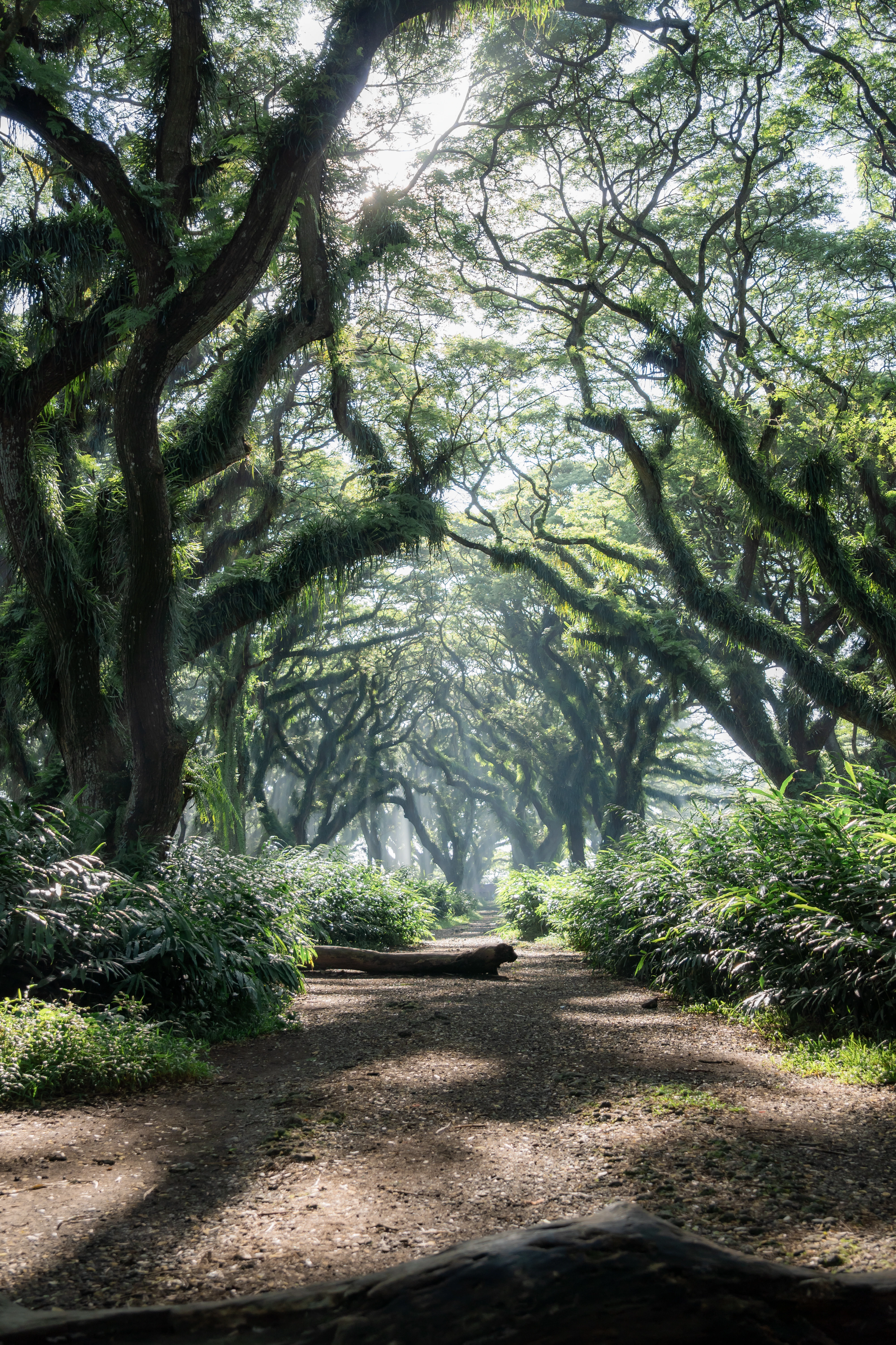 Tim Green Island Wisata Banyuwangi